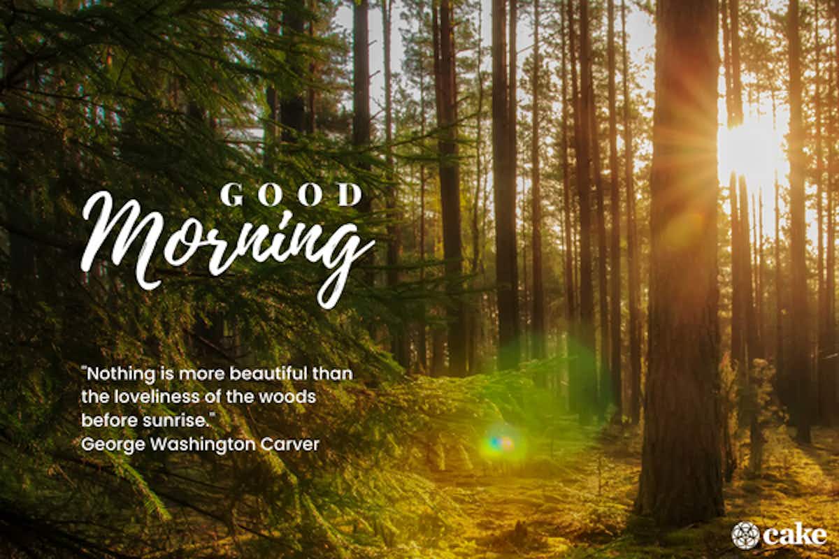 good morning quote woods before morning washington carver