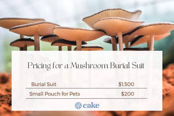 How much does a mushroom burial suit cost?