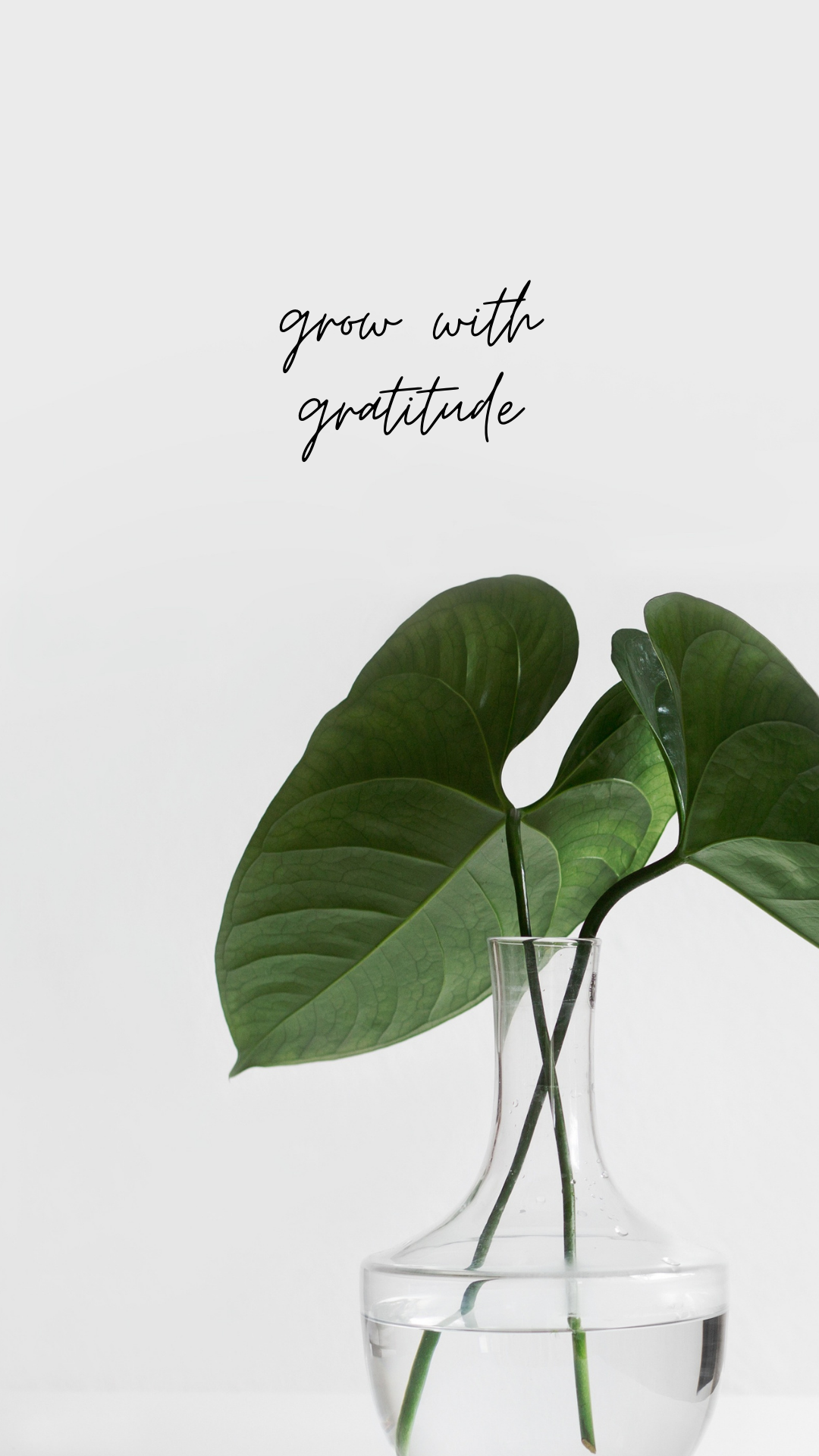 Grow with gratitude