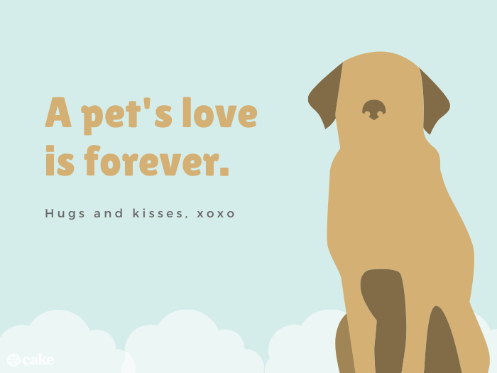 A pet's love is forever