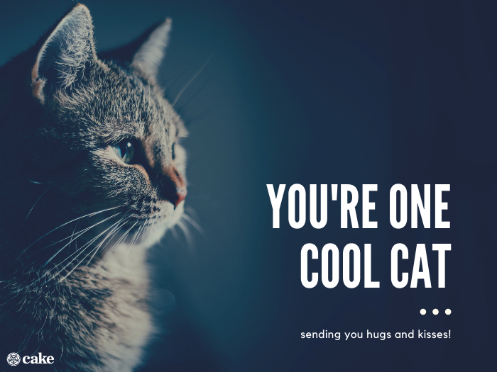 You're one cool cat
