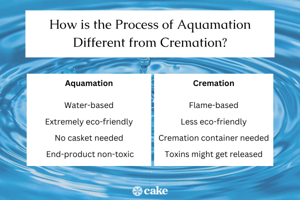 Aquamation vs. Cremation 12 Differences to Know Cake Blog Cake