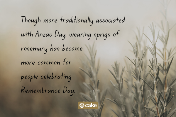 Text about how Australians celebrate Remembrance Day over an image of rosemary