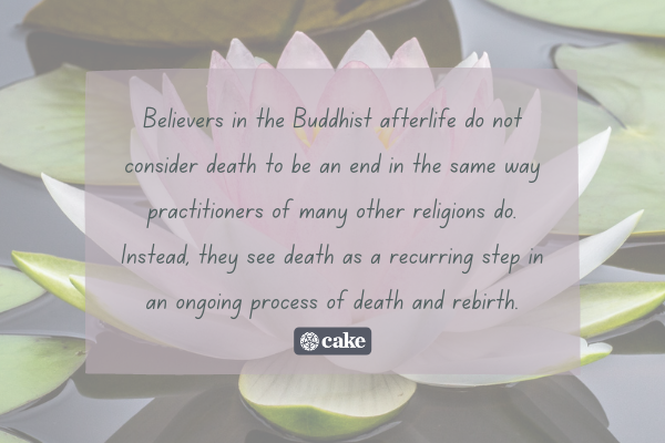 Text about Buddhist beliefs about the afterlife over an image of a lotus flower