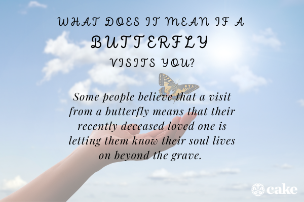 meaning of a butterfly visit