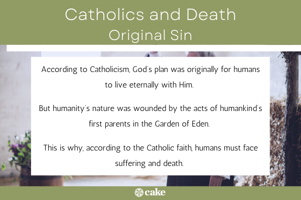 Catholics and the afterlife original sin image
