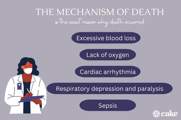 Manner, Cause & Mechanisms Of Death: 3 Key Differences | Cake Blog