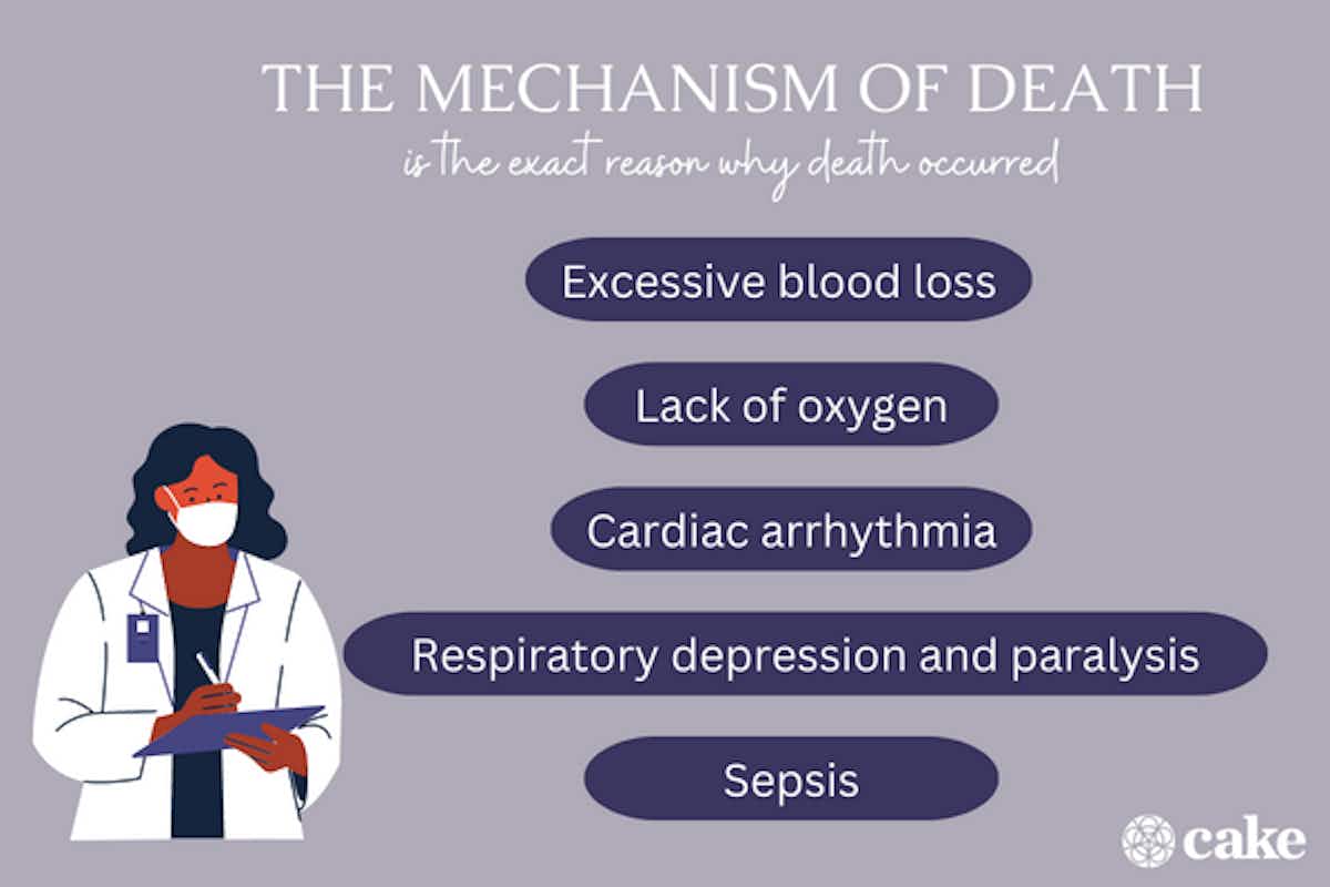 Image with explanation of mechanism of death