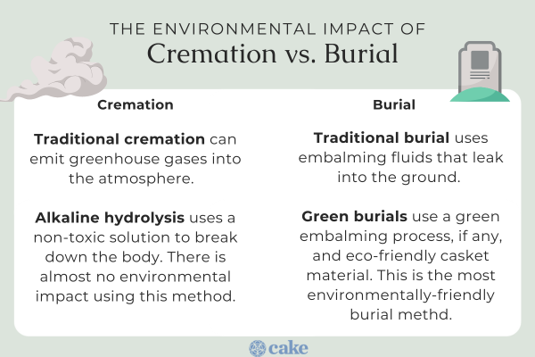 Cremation Vs. Burial: A Comprehensive Comparison | Cake Blog