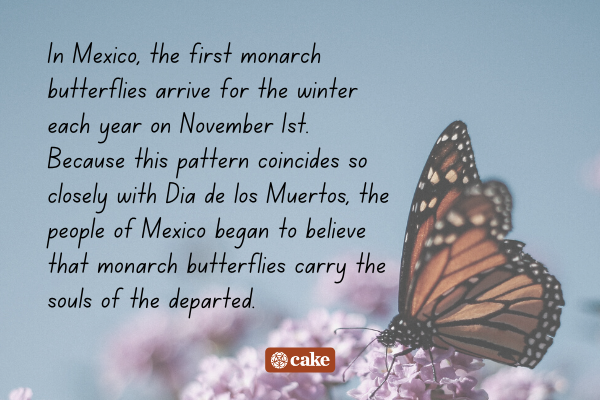 Text about Day of the Dead with an image of a butterfly in the background