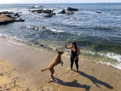 https://joincake.imgix.net/dog-beach-day-2.jpg?w=414