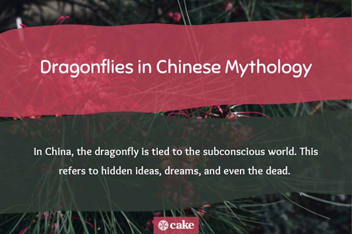 Dragonfly in Chinese mythology image
