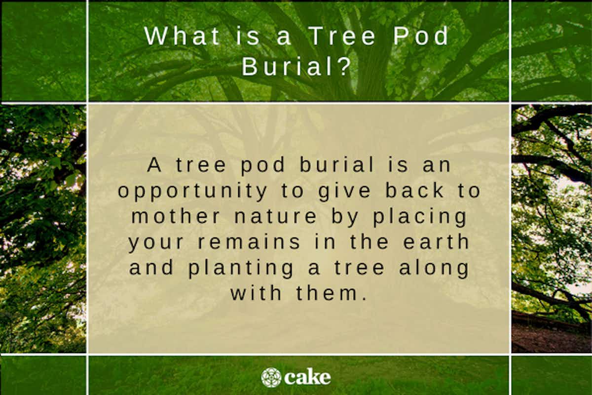 Graphic answering what is a tree pod burial
