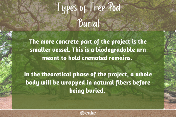 Types of tree pod burial image