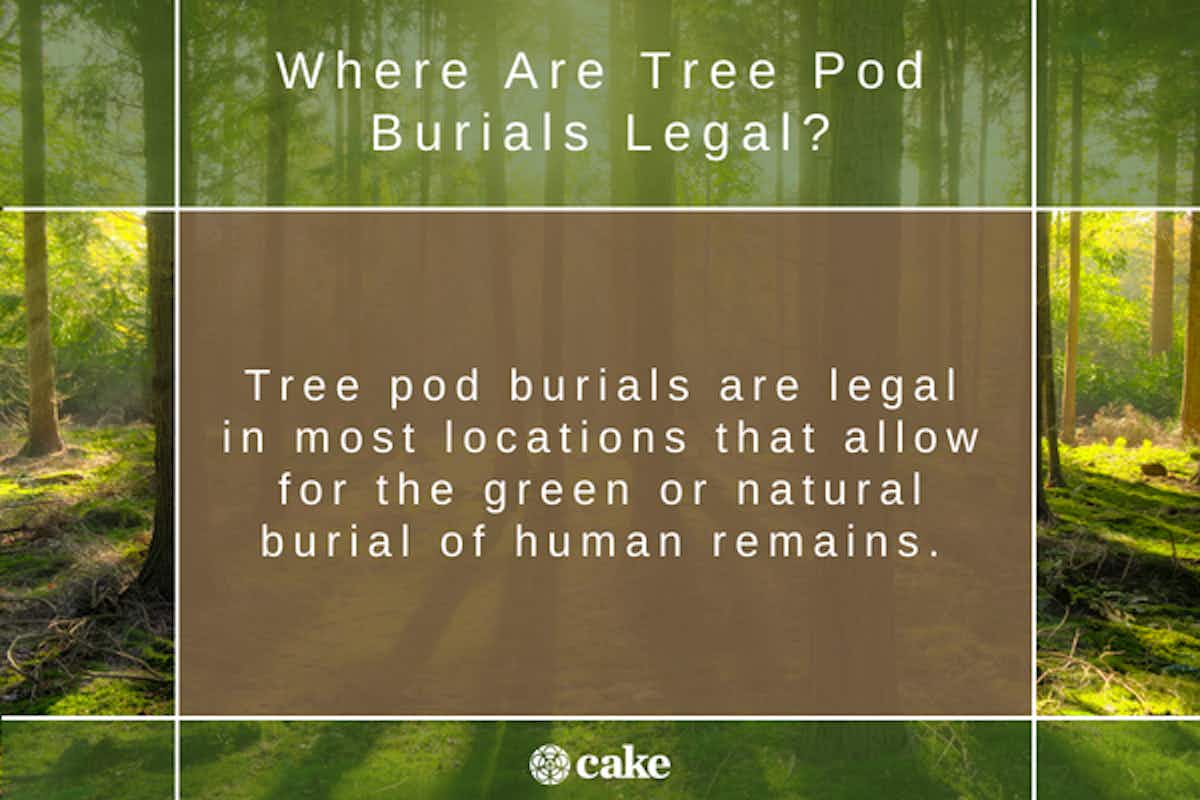 Graphic answering where are tree pod burials legal