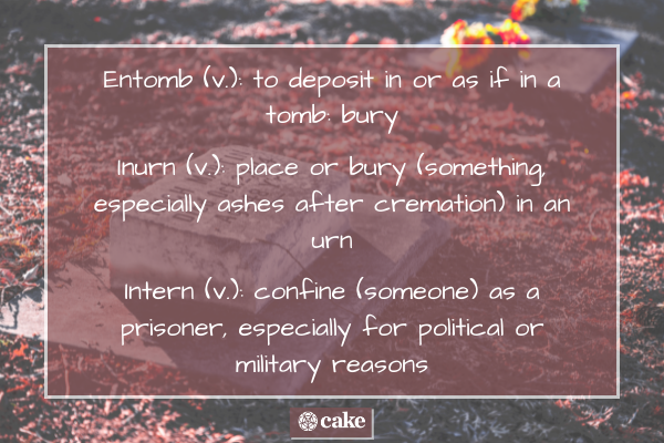 Words confused with inter; entomb, inurn, intern definitions image