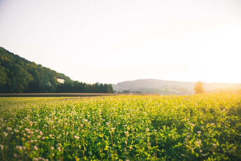 85+ heartfelt and meaningful Father's Day quotes