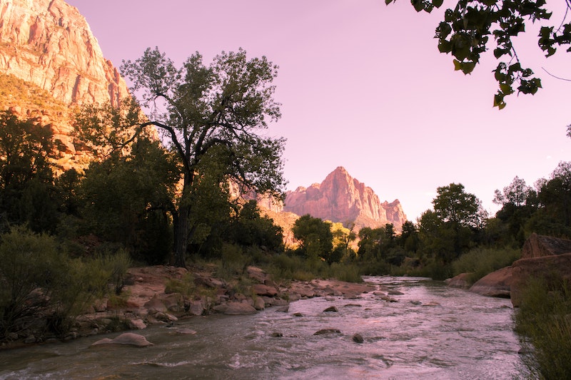 Can You Scatter Ashes in US National Parks or Forests? Cake Blog