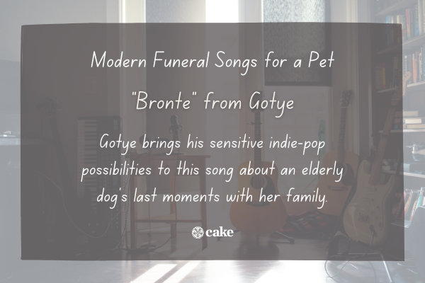 Example of a modern funeral song for a pet over an image of musical intruments