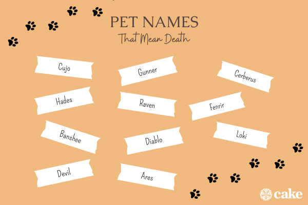 32 Human &amp; Pet Names That Mean Death | Cake Blog | Cake: Create a 