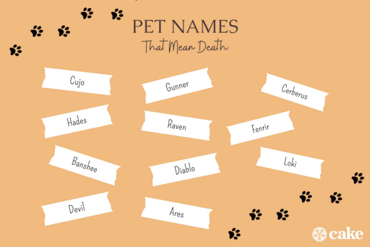 32 Human & Pet Names That Mean Death | Cake Blog | Cake: Create a