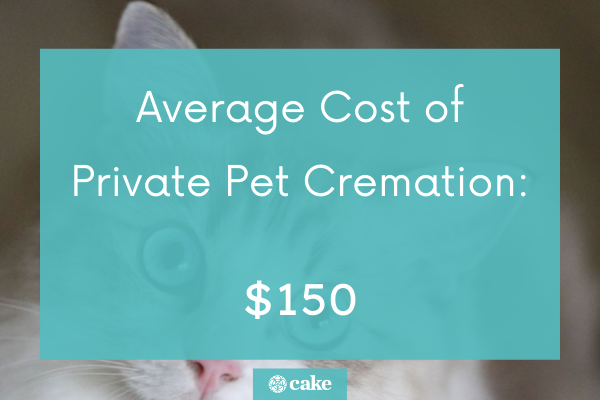 Average cost of private pet cremation image