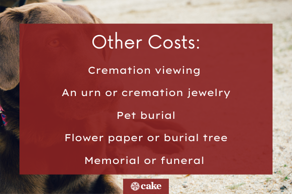 Other costs for pet cremation image