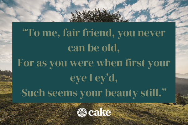 40+ Short Poems About Friendship & Memories | Cake Blog