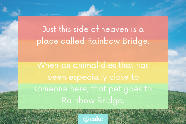 What is 'Crossing the Rainbow Bridge' When a Pet Dies? | Cake Blog