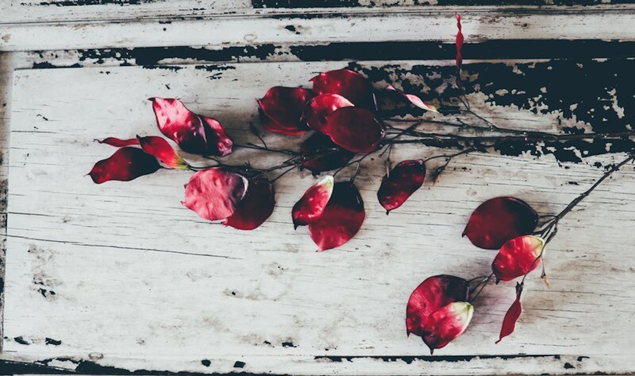 How Much Does Cremation Cost in California? Cake Blog How Much Does Cremation Cost in California? Cake Blog