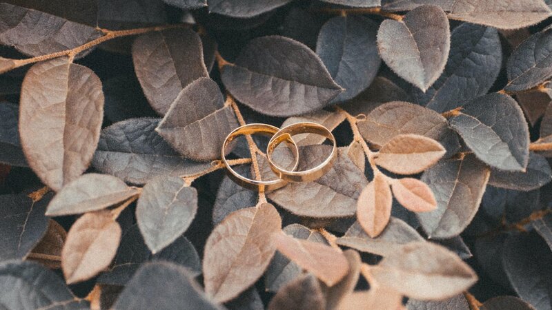 Learn what happens to life insurance in divorce cases including tips and FAQs.