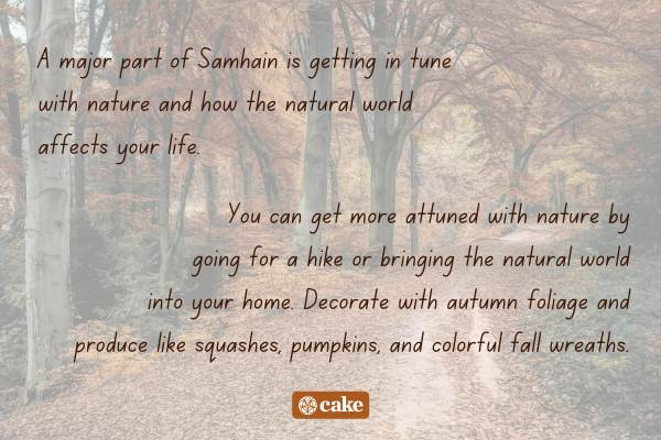 Text about celebrating Samhain with an image of trees in the background