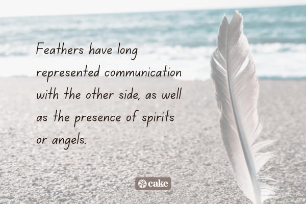Text about feathers as signs from the deceased over an image of a feather
