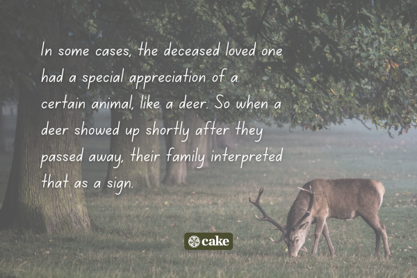 Text about deer as signs from the deceased over an image of a deer and trees
