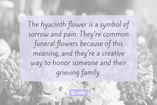 Text over an image of hyacinth flowers