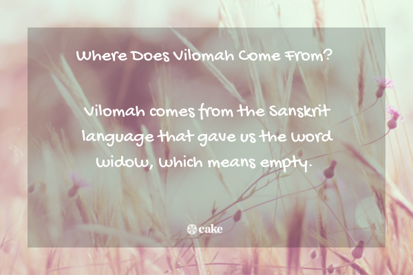 This image shows where the word Vilomah comes from