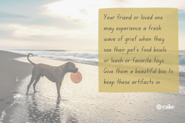 What to Get Someone Whose Dog Died: Thoughtful Sympathy Gifts