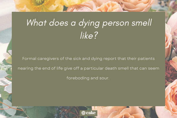 What is smelling death - can you actually smell death before someone dies image